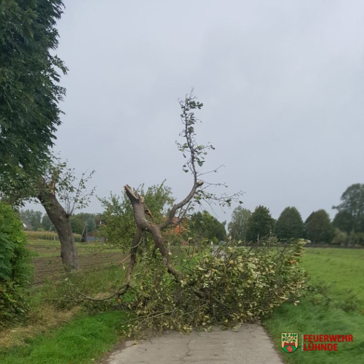 Sturmschäden (08-2017)