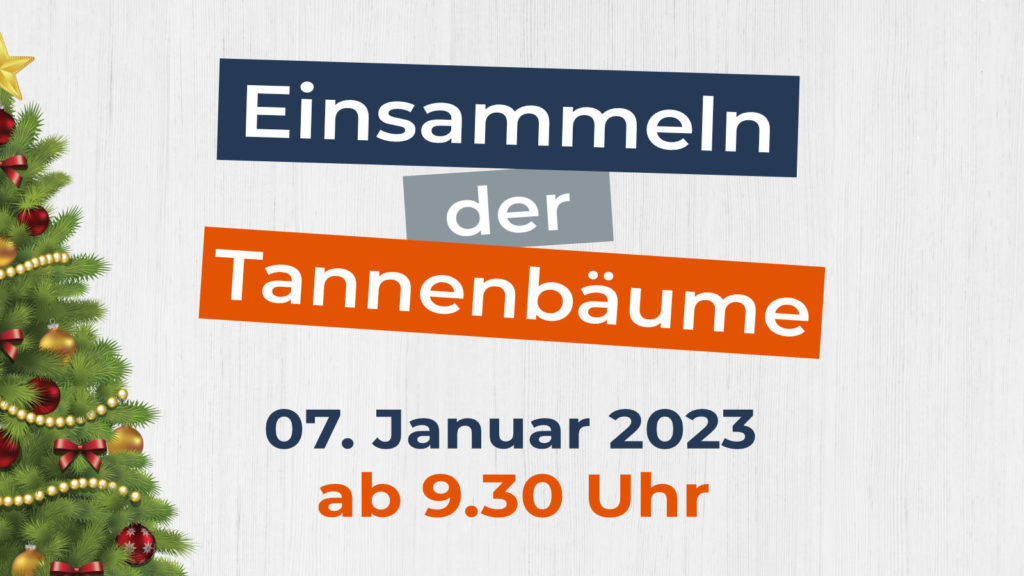 Einsammeln der Tannenbäume