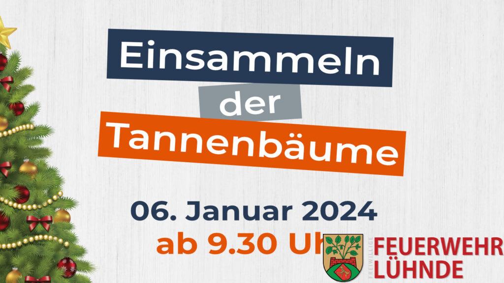 Einsammeln der Tannenbäume 2024