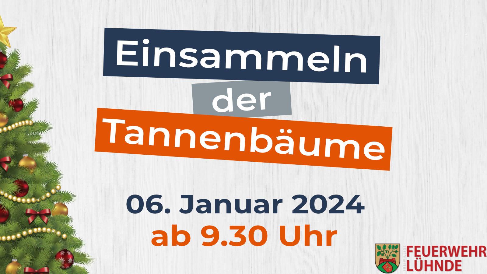 Einsammeln der Tannenbäume 2024