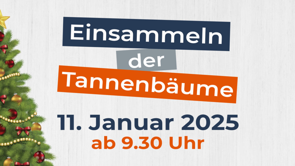 Einsammeln der Tannenbäume