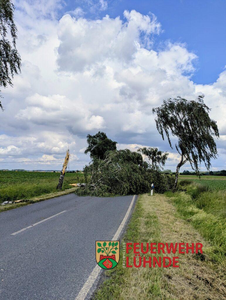 TH1 – Sturmschaden (10-2026)