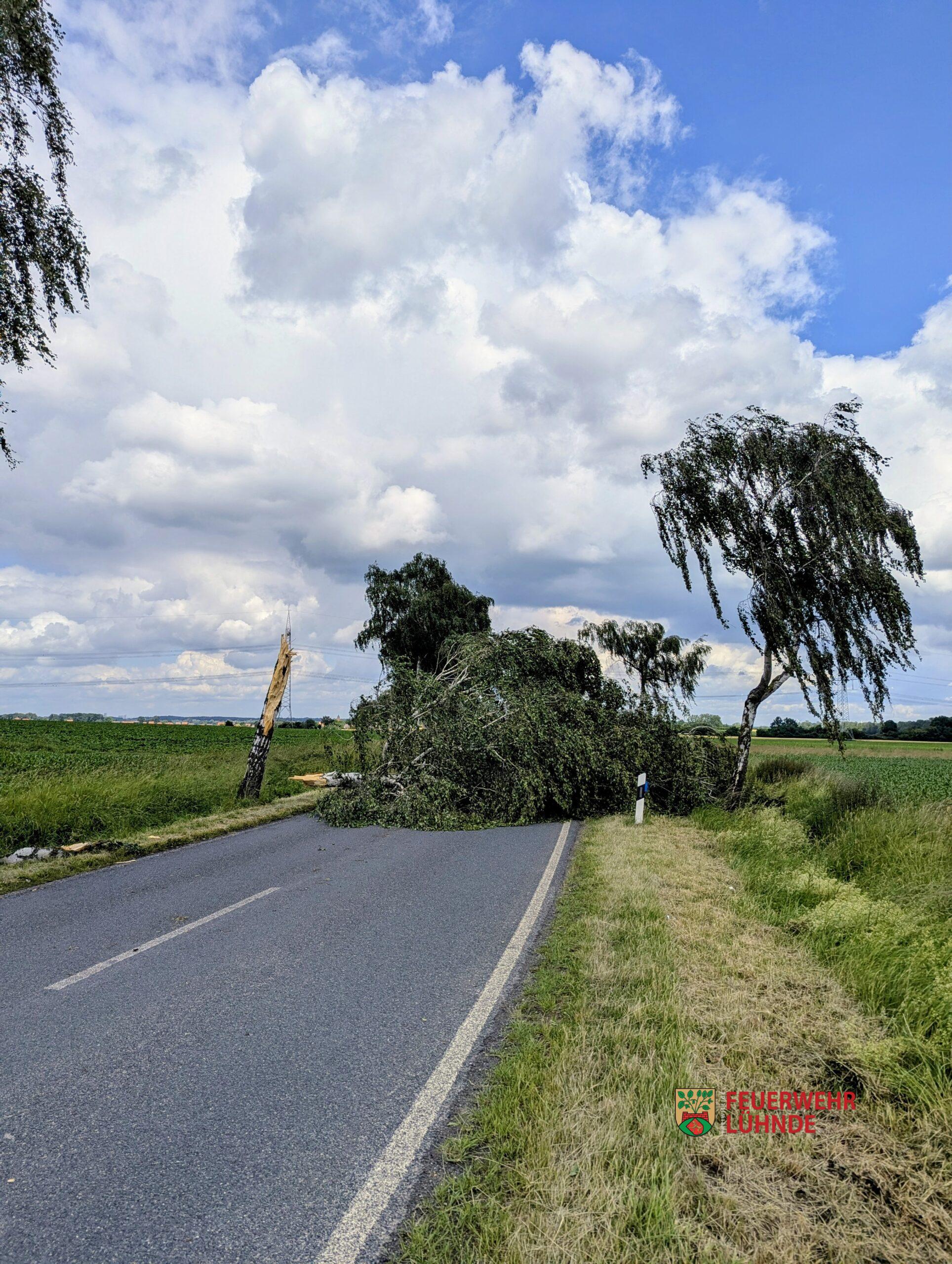 TH1 – Sturmschaden (10-2026)